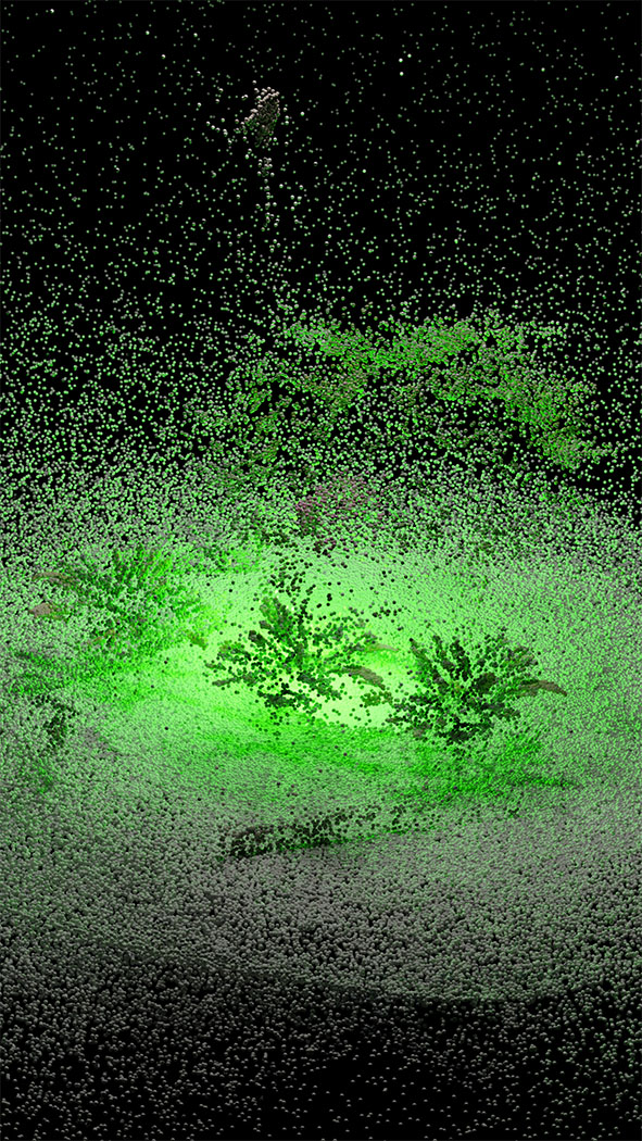 Collage/Digital Image 1